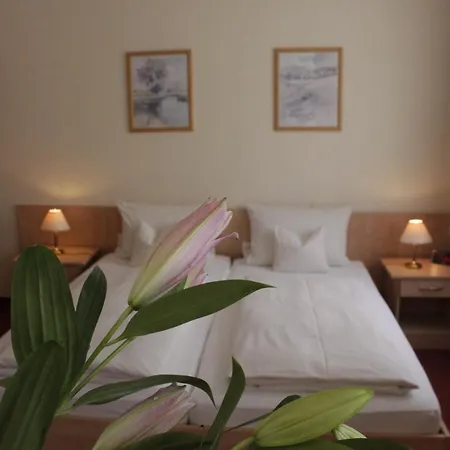 Bed & Breakfast Hotel Schiff