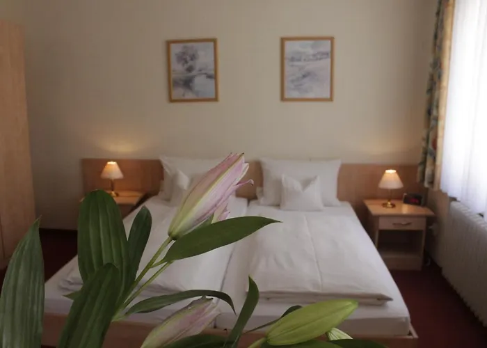 לינה וארוחת בוקר Schiff